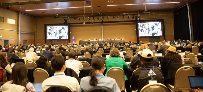 Closing Plenary - OEWG32 - 20 Jun2025