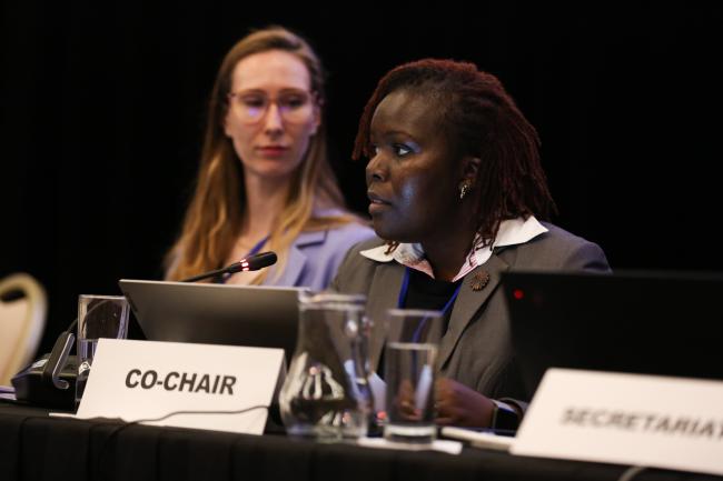 Co-Chair Linda Kosgei, Kenya_OEWG1_24Jun25_photo.jpg