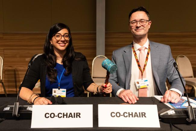 Co-Chairs Vanessa Aliaga Araujo and Přemysl Štěpánek _OEWG1_24Jun25_photo.jpg