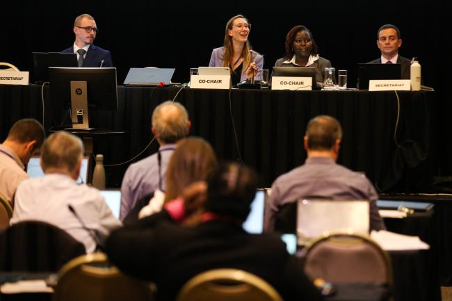 Contact Group Panel_OEWG1_24Jun25_photo.jpg