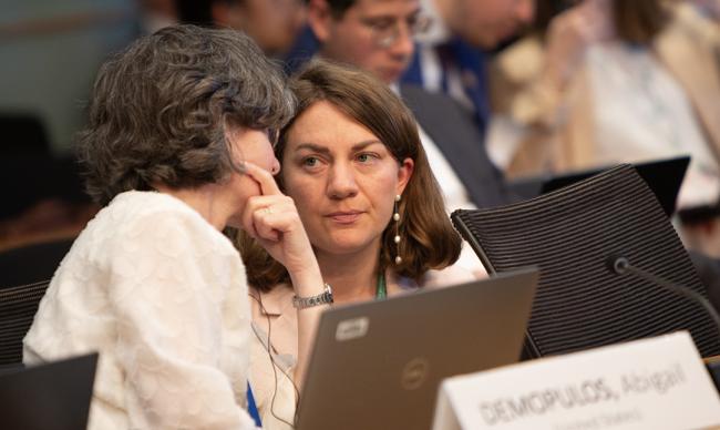 Council Members during consultations - GEF69 - 3Jun2025