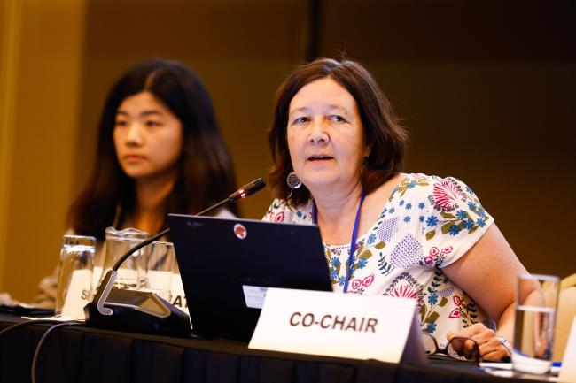 EIsabelle Mayr, Canada, Co-Chair of the contact group on the programme of work and budget, _0086_OEWG1_25Jun25_photo.jpg