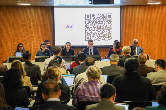 View of the panel data and financing