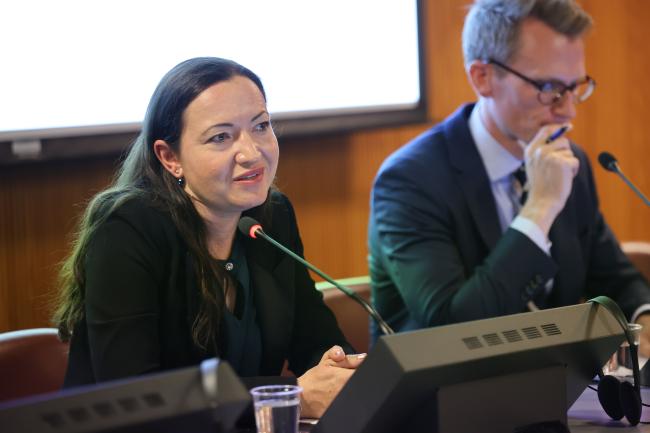 Christelle Cazabat, Internal Displacement Monitoring Center 