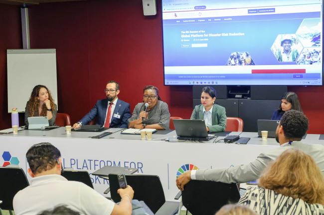 View of the panel Innovative Financing & Private Sector 