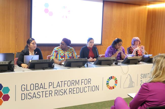 View of the panel DRR Gender Action 