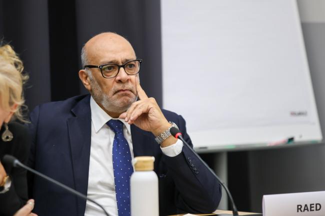 Emad Adly, Arab Network for Environment and Development (RAED) 