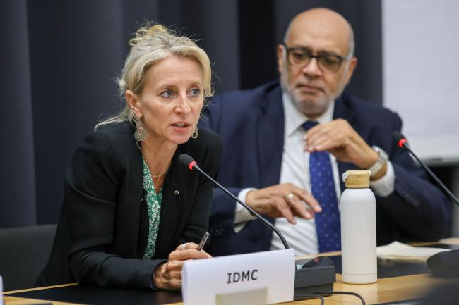 Alexandra Bilak, Internal Displacement Monitoring Centre (IDMC)