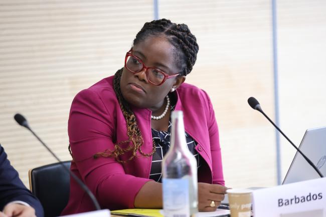 Kerry Hinds, Department of Emergency Management, Barbados 