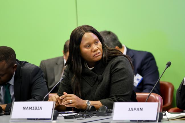 Hellen Likando, Director, Directorate Disaster Risk Management, Office of the Prime Minister, Namibia 