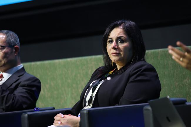 Rania Sharshr, International Organization for Migration (IOM)