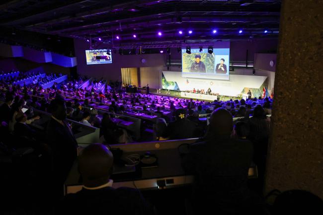 View of the room during the Opening Session 