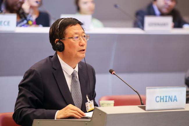 Song Yuanming, Vice-Minister of Emergency Management, China 