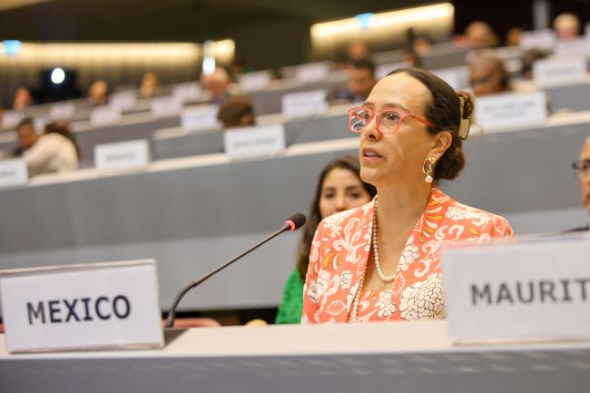 Francisca E. Méndez Escobar, Mexico 