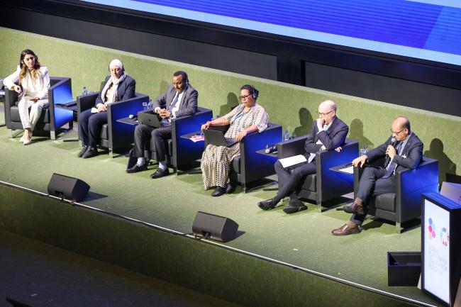 View of the panel HLD 