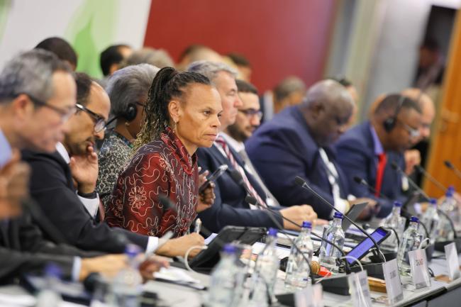 Patricia Danzi, Swiss Agecy for Development and Cooperation, and GPDRR Co-Chair 