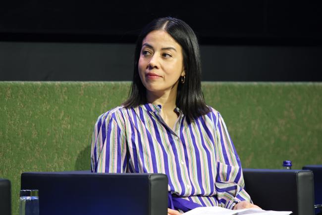   Carolina Fuentes Castellanos, Santiago Network Secretariat