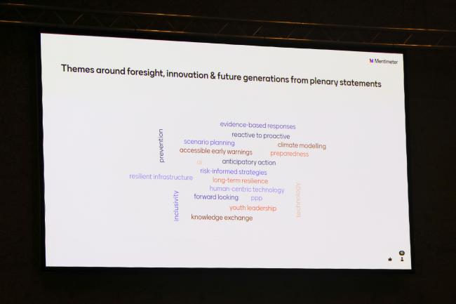 Slide showing themes arised from plenary statements 