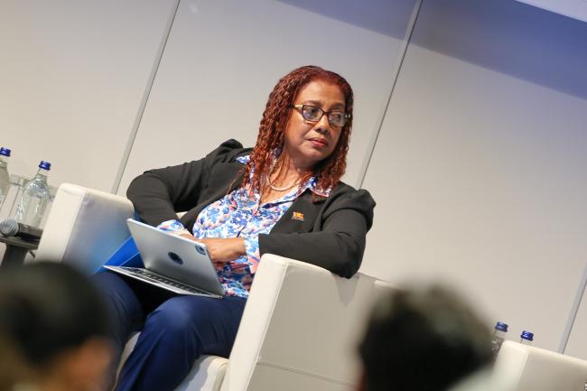 Petipha Lewis, Chair, Network of Caribbean Chambers (CARICHAM)