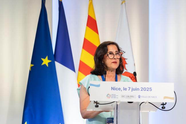 Selma Cherchali, Strategy Directorate, CNES
