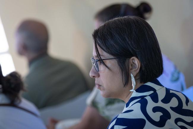 Delegates listen to the interventions