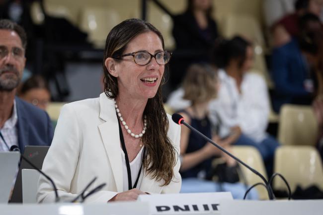 Francine Pickup, UN Development Programme (UNDP)