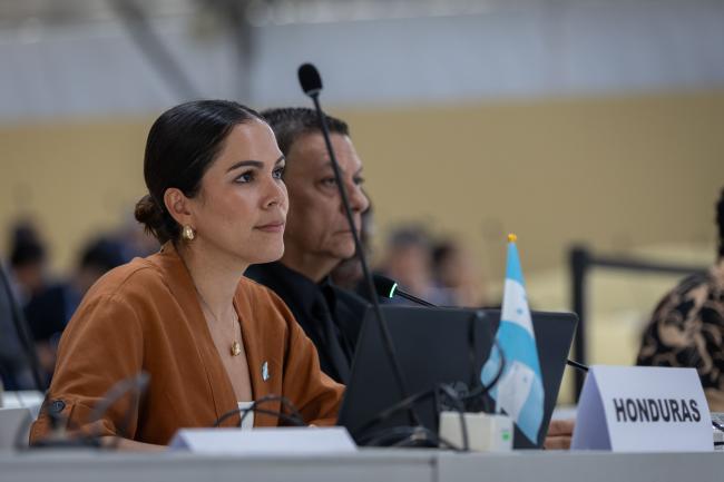 Cindy Larissa Rodríguez, Vice-Minister of Foreign Affairs, Honduras