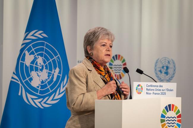 Alicia Bárcena, Secretary of the Environment and Natural Resources, Mexico