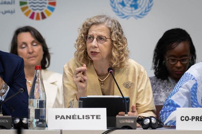 Inger Andersen, Executive Director, UN Environment Programme (UNEP)
