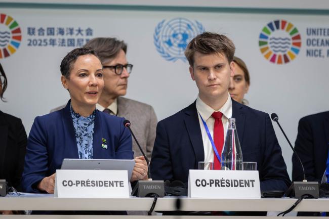 Panel Co-chairs: Kamina Johnson Smith, Minister of Foreign Affairs and Foreign Trade, Jamaica, and Jóhann Páll Jóhannsson, Minister of the Environment, Energy and Climate, Iceland