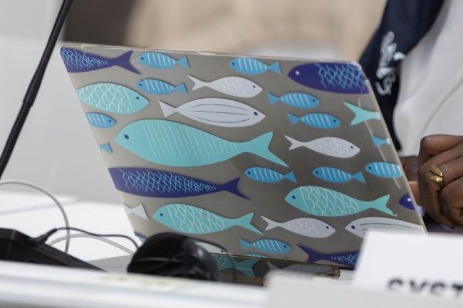 Fish on laptop