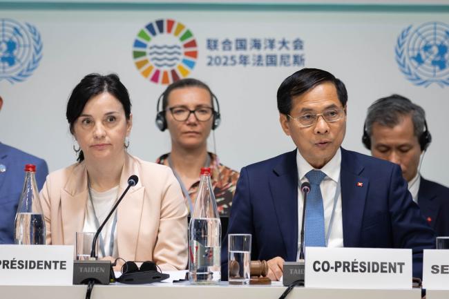 Panel Co-Chairs: Marija Vučković, Minister for Environmental Protection and Green Transition, Croatia, and Bui Thanh Son, Deputy Prime Minister and Minister of Foreign Affairs, Vietnam