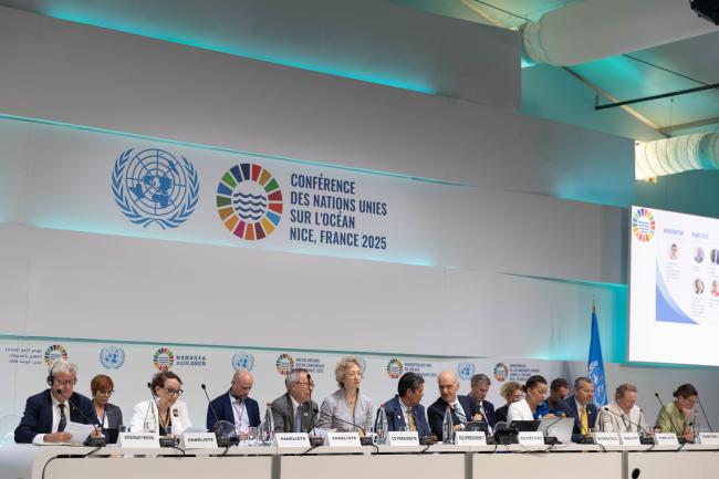 Panel speakers for Ocean Action Panel 6