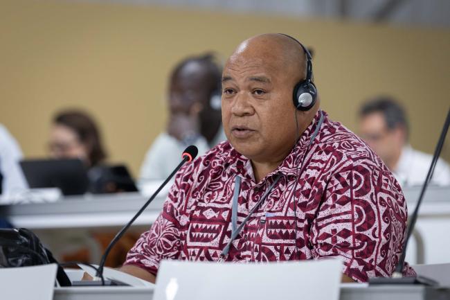 Sione Vailala Matoto, CEO, Ministry of Fisheries, Tonga, on behalf of the Pacific Island Community (PIC)