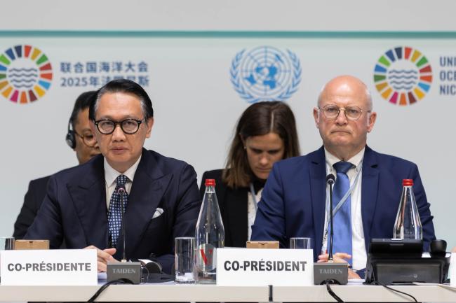 Panel 7 Co-Chairs: Arif Havas Oegroseno, Vice-Minister for Foreign Affairs, Indonesia, and  Jean-Luc Crucke, Minister of Mobility, Climate and Ecological Transition, in charge of Sustainable Development, Belgium