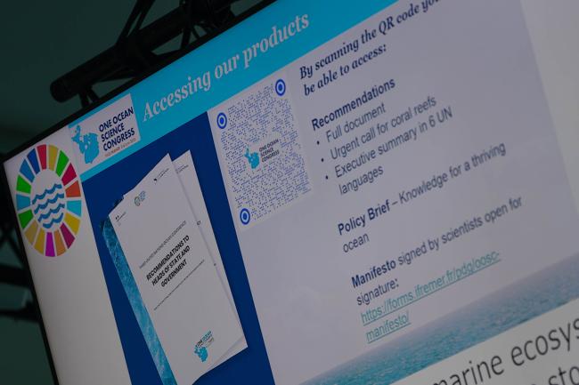 Materials are made available to delegates during the meeting