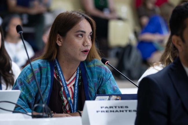 Jimrex Calatan, Indigenous Peoples International Centre for Policy Research and Education (Tebtebba)