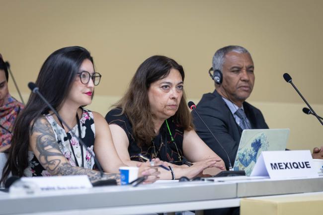 Margarita Caso Chávez, Director of Adaptation and Ecological Vulnerability, National Institute of Ecology and Climate Change (INECC), Mexico