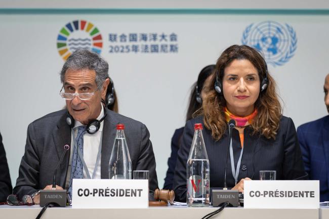 Panel Co-Chairs: Claudio Barbaro, Undersecretary of State to the Ministry of the Environment and Energy Security, Italy