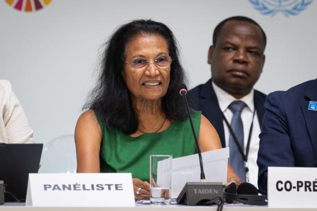 Shakuntala Haraksingh Thilsted, Director, Nutrition, Health and Food Security Impact Area Platform, Consultative Group on International Agricultural Research (CGIAR)