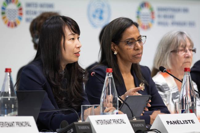 Lan-Anh Nguyen, Vice President of the Asian Society of International Law and UNCLOS Annex VII Arbitrator