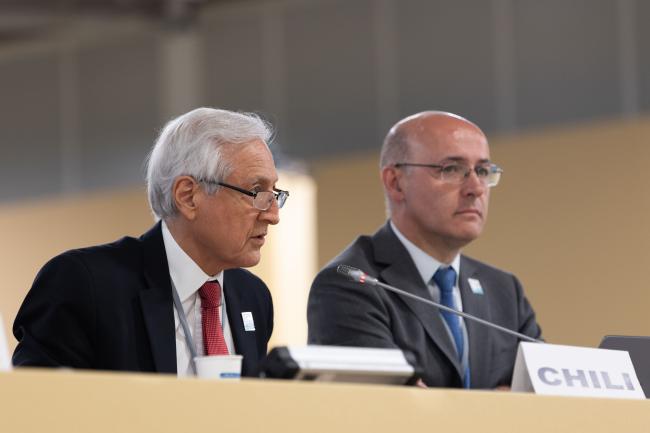 Heraldo Muñoz, former Minister of Foreign Affairs, Special Envoy for the Ocean, Chile