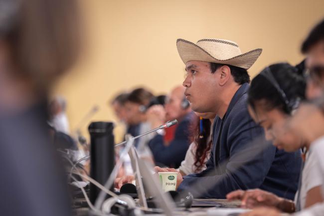 Juan Carlos Monterrey Gómez, Special Representative for Climate Change, Panama