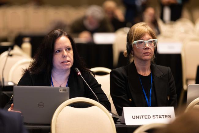 Elizabeth Nichols, US, United States_OEWG1_25Jun25_photo.jpg