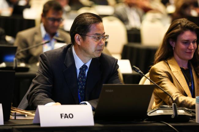 FAO_OEWG1_25Jun25_photo.jpg