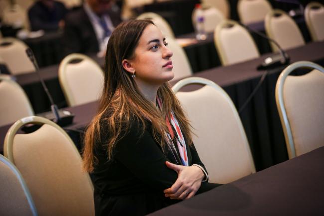 Fabiana Lubetkin, Electronic Industry _OEWG1_26Jun25_photo.jpg