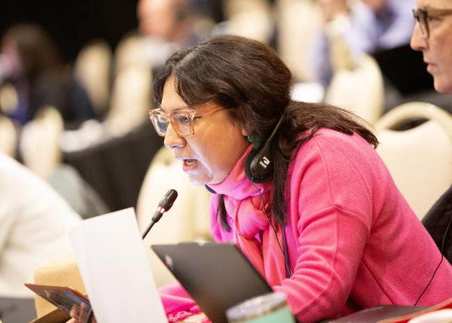 Glady Lorena Terrazas Arnez, Indigeous People - OEWG32 - 15Jun202