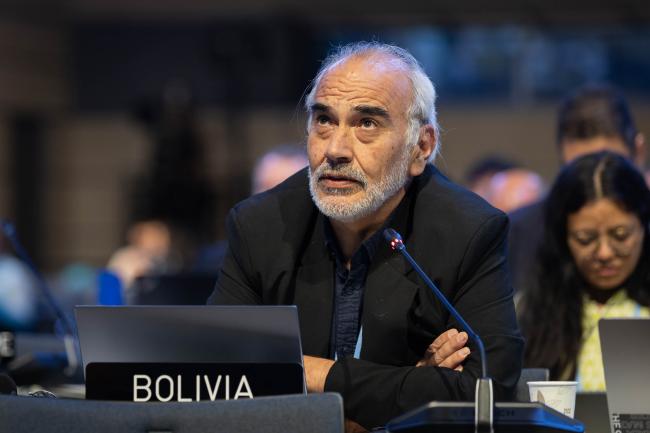 Diego Pacheco, Bolivia