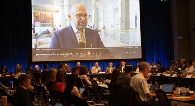 IISD Video Presentation - GEF69 - 6Jun2025