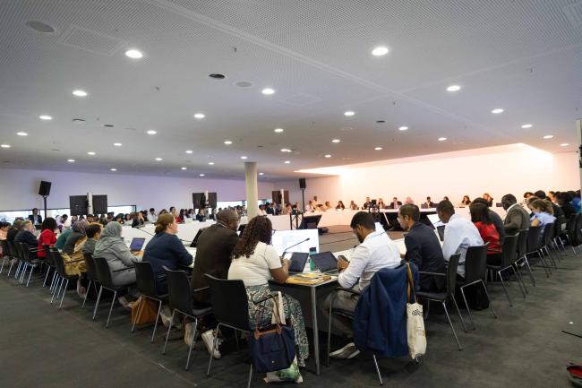 Informal consultations on the adaptation committee
